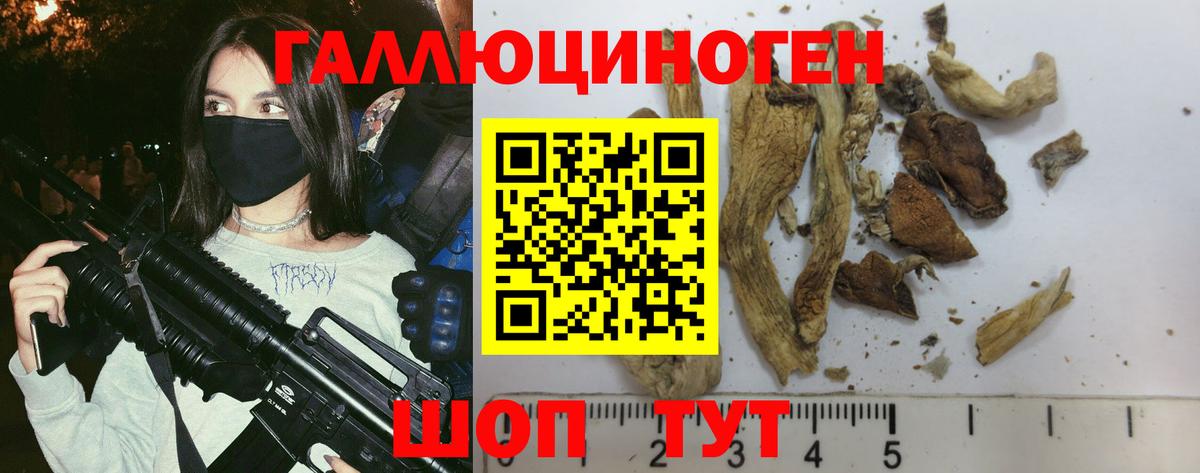 Галлюциногенные грибы прущие грибы  Псилоцибиновые грибы MAGIC MUSHROOMS  Вход с VPN  Лосино-Петровский 